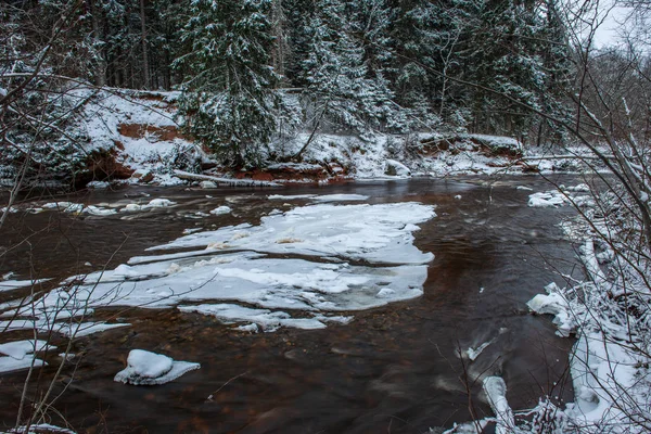 Kışın, Letonya orman Amata Nehri'nin doğal görünümü