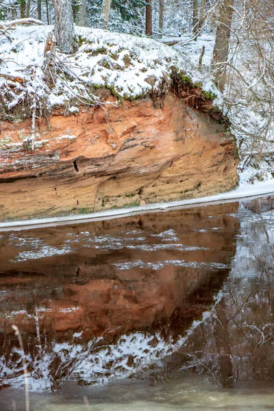 Malerischer Blick Auf Wald Amata Fluss Winter Lettland — Stockfoto