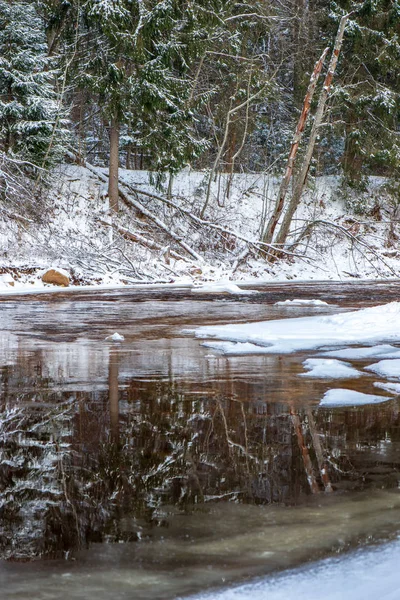 Vue Panoramique Forêt Amata Rivière Hiver Lettonie — Photo