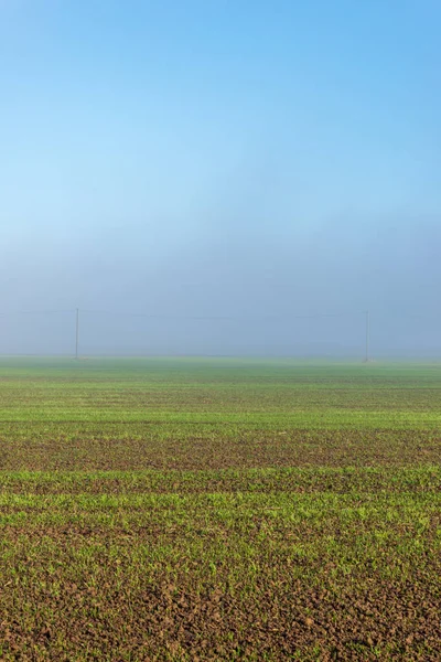 Vista Panorámica Niebla Mañana Sobre Prado — Foto de Stock