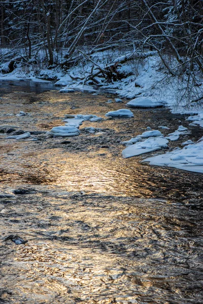 Malerischer Blick Auf Wald Amata Fluss Winter Lettland — Stockfoto