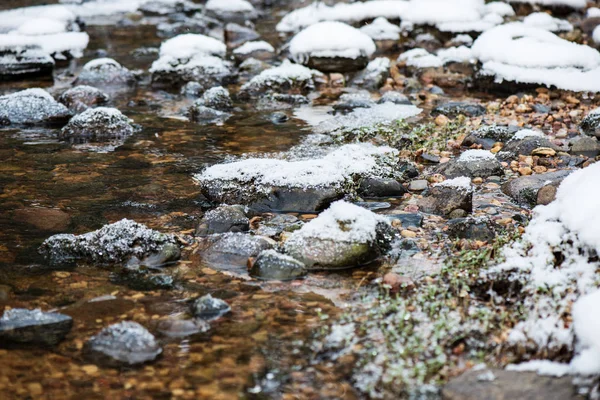 Vista Panorâmica Floresta Rio Amata Inverno Letónia — Fotografia de Stock