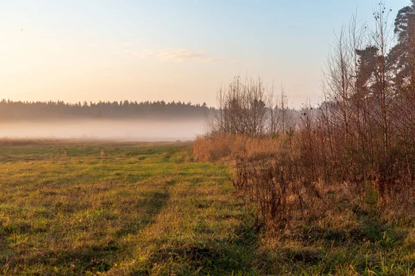 Scenic View Morning Mist Fog Meadow — Stock Photo, Image