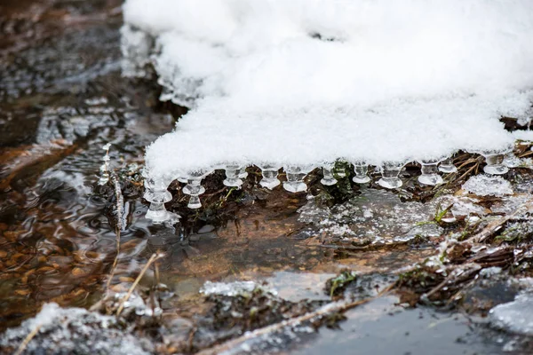 Malerischer Blick Auf Wald Amata Fluss Winter Lettland — Stockfoto