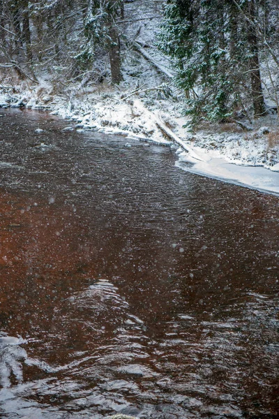 Vista Panorâmica Floresta Rio Amata Inverno Letónia — Fotografia de Stock