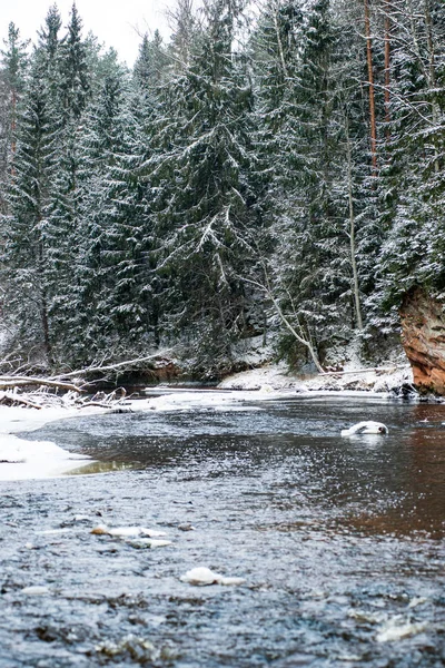 Vue Panoramique Forêt Amata Rivière Hiver Lettonie — Photo