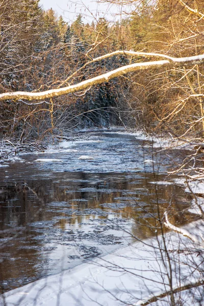 Vista Panorâmica Floresta Rio Amata Inverno Letónia — Fotografia de Stock