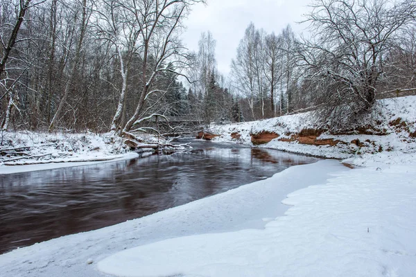 Vista Panorámica Del Bosque Río Amata Invierno Letonia —  Fotos de Stock