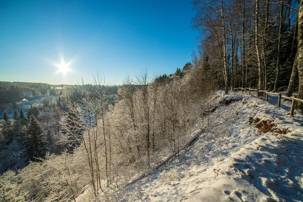 Vista Panorâmica Floresta Nevada Dia Inverno — Fotografia de Stock