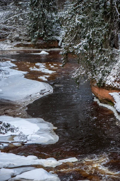 Malebný Pohled Lesní Amata Řeky Zimě Lotyšsko — Stock fotografie