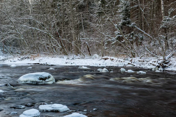 Malerischer Blick Auf Wald Amata Fluss Winter Lettland — Stockfoto