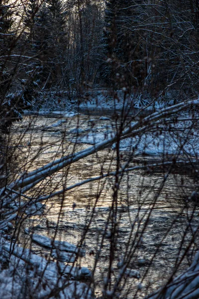 Schilderachtig Uitzicht Bos Amata Rivier Winter Letland — Stockfoto