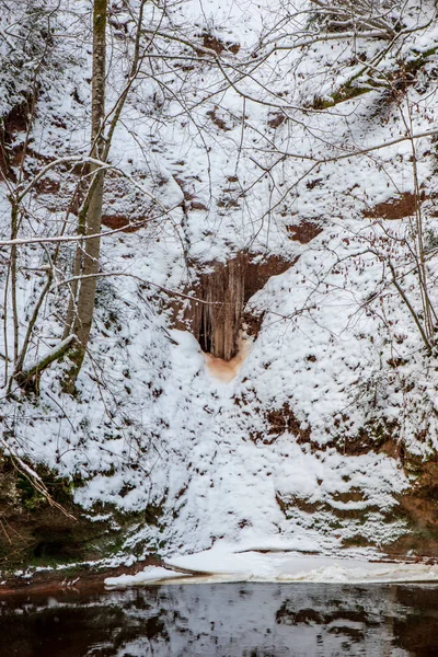 Vista Panorámica Del Bosque Río Amata Invierno Letonia — Foto de Stock