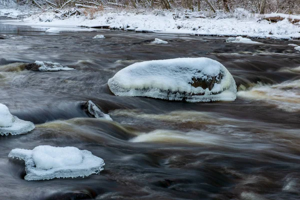 Живописный Вид Лес Реку Зимой Латвия — стоковое фото