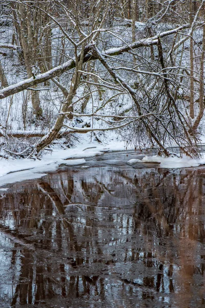 Vedere Pitorească Pădurii Râul Amata Timpul Iernii Letonia — Fotografie, imagine de stoc