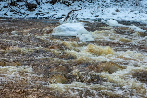 Γραφική Θέα Στον Ποταμό Amata Δάσος Χειμώνα Λετονία — Φωτογραφία Αρχείου