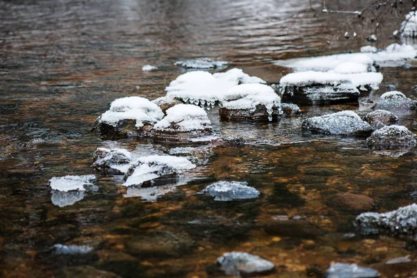 Vue Panoramique Forêt Amata Rivière Hiver Lettonie — Photo