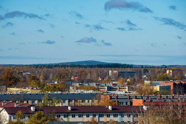 美丽城市拉脱维亚瓦尔米埃拉鸟图 — 图库照片