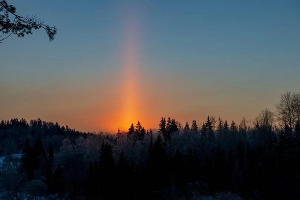 Vista Panorámica Salida Del Sol Sobre Bosque Invierno Nevado —  Fotos de Stock