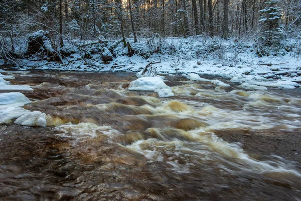 Vista Panorámica Del Bosque Río Amata Invierno Letonia — Foto de Stock