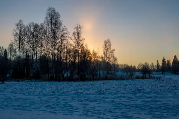 雪に覆われた冬の森の日の出の美しい景色 — ストック写真
