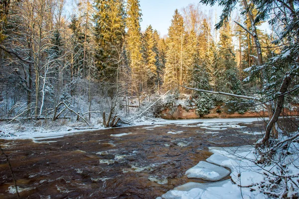 Мальовничий Вид Ліс Amata Річка Взимку Латвія — стокове фото