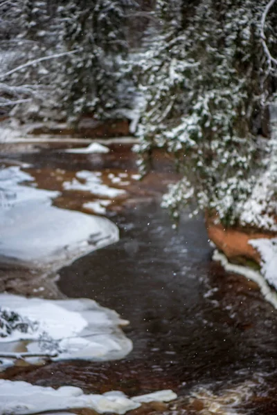 Vista Panorâmica Floresta Rio Amata Inverno Letónia — Fotografia de Stock