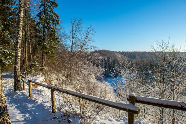 Vista Panorâmica Floresta Nevada Dia Inverno — Fotografia de Stock