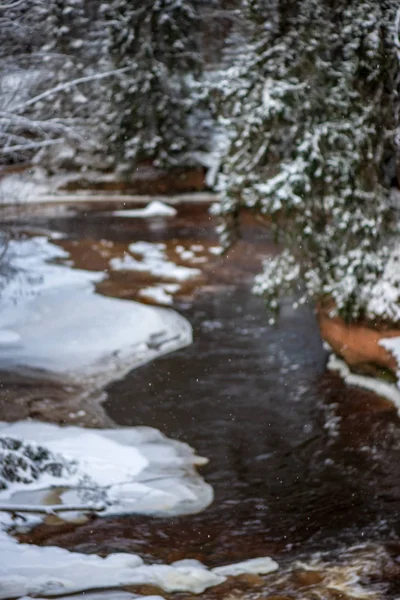 Γραφική Θέα Στον Ποταμό Amata Δάσος Χειμώνα Λετονία — Φωτογραφία Αρχείου