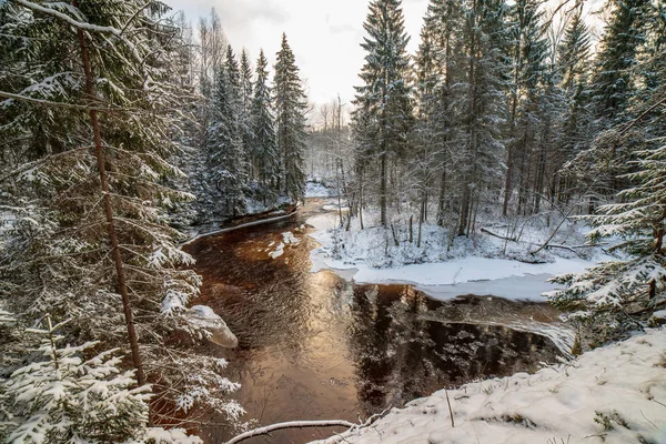 scenic view of forest Amata river in winter, Latvia