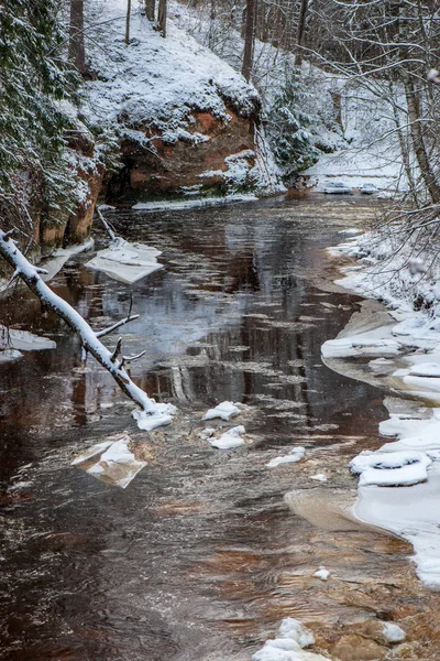 Malerischer Blick Auf Wald Amata Fluss Winter Lettland — Stockfoto