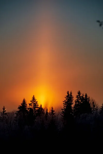 Vista Panorâmica Nascer Sol Sobre Floresta Nevada Inverno — Fotografia de Stock