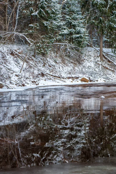 Vista Panorâmica Floresta Rio Amata Inverno Letónia — Fotografia de Stock