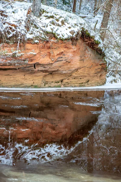 Malerischer Blick Auf Wald Amata Fluss Winter Lettland — Stockfoto