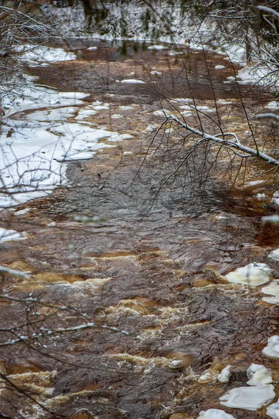 Vue Panoramique Forêt Amata Rivière Hiver Lettonie — Photo