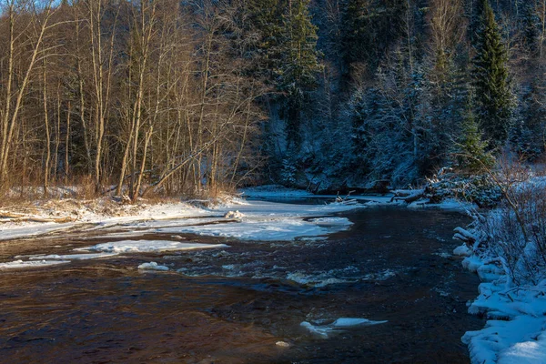 Malerischer Blick Auf Wald Amata Fluss Winter Lettland — Stockfoto