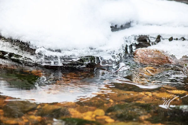 Malebný Pohled Lesní Amata Řeky Zimě Lotyšsko — Stock fotografie