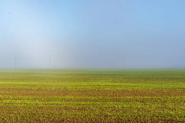 Живописный Вид Утреннего Тумана Над Лугом — стоковое фото