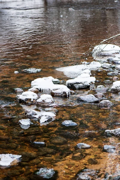 Vista Panorámica Del Bosque Río Amata Invierno Letonia — Foto de Stock