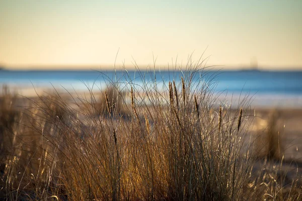 Güneş yansıtan bents kuru ve sunset beach bölgesindeki çimen