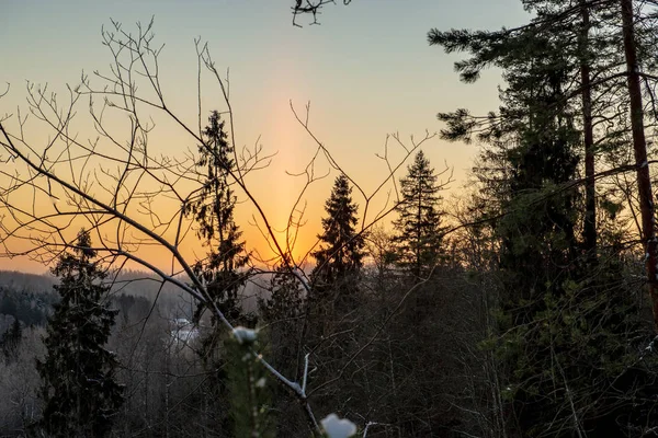 Vista Panorámica Salida Del Sol Sobre Bosque Invierno Nevado — Foto de Stock