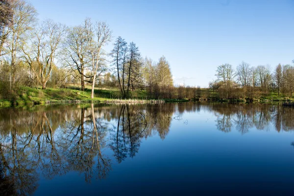 Scenic View Forest Trees Reflections Lake Summer Day Royalty Free Stock Photos