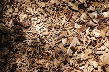 turist iz yontma kuru ahşap karıştıran ile kaplı