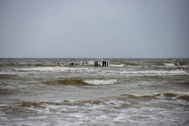 Eski dalgakıran kalanlar denizde ahşap direkleri