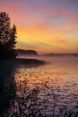 güzel renkli günbatımı manzaralı görünüm