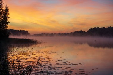 güzel renkli günbatımı manzaralı görünüm