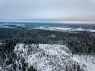 Yukarıda da görüleceği ormandaki karlı ağaçlar