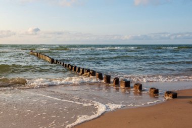 Eski dalgakıran kalanlar denizde ahşap direkleri