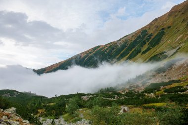 Tırmanma dağ Vadisi Slovakya üzerinden puslu bulut