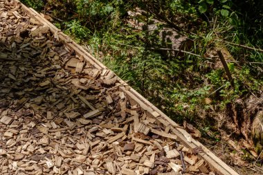 turist iz yontma kuru ahşap karıştıran ile kaplı